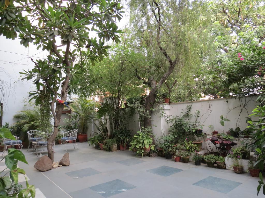 Trendy Bed & Breakfast Νέο Δελχί Εξωτερικό φωτογραφία